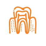 Root Canals