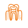 Root Canals